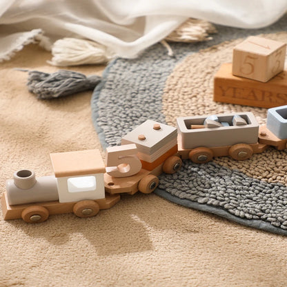 Tren Encaja y Descubre